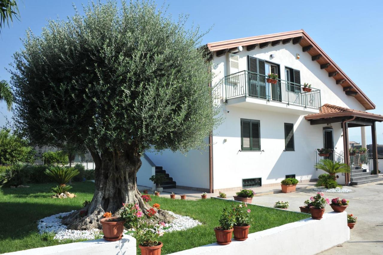 Santa Maria La Carità B&B Cascina Fiorita מראה חיצוני תמונה